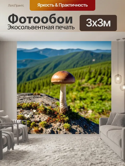 Фотообои грибы грибоед, занимающиеся спортом на пике горы, с мотивацией и энергией, с панорамным видом на долину