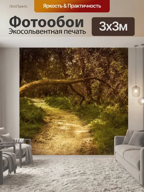 Фотообои Лес