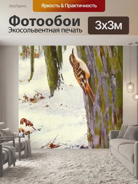 Фотообои Коричневая лиана Vintage Bird Illustra