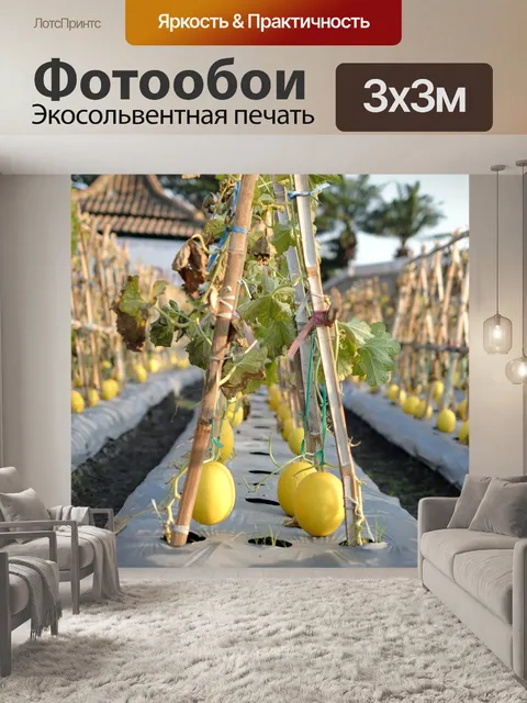 Фотообои Нектар