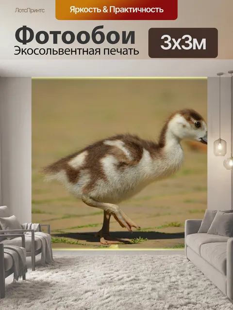 Фотообои Нил Гусь и 05 детенышей