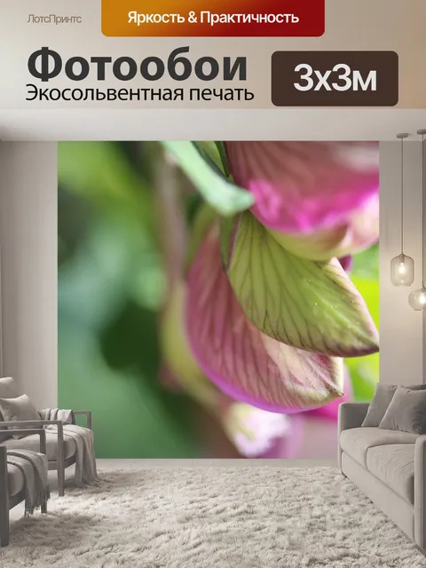 Фотообои Розовый