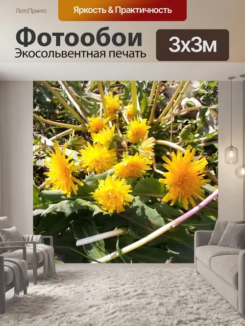 Фотообои Цветы