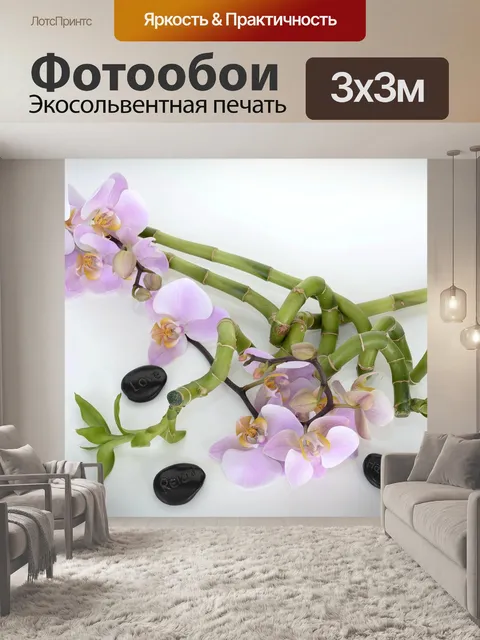 Фотообои Орхидея