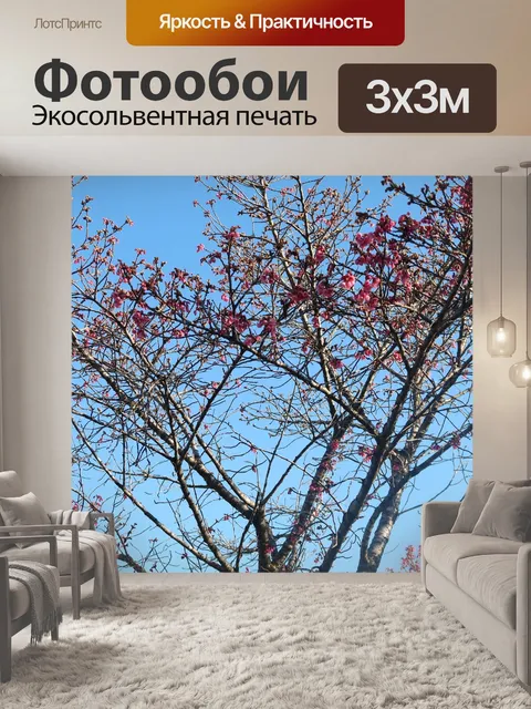 Фотообои Синее небо