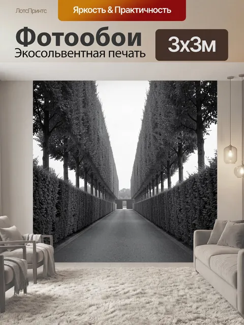 Фотообои Аллея из подстриженных деревьев