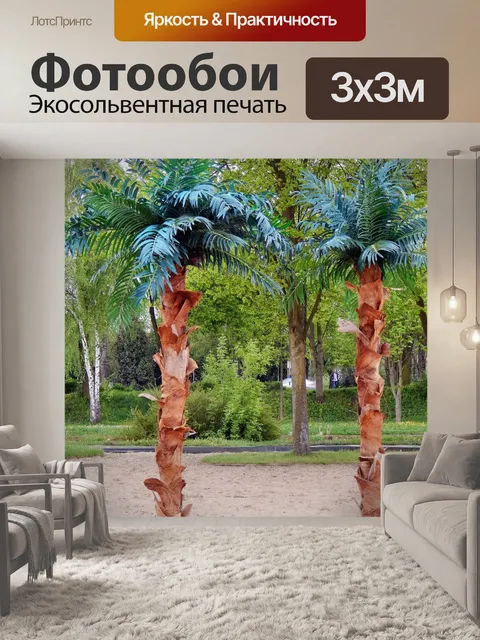 Фотообои Пальмовые деревья
