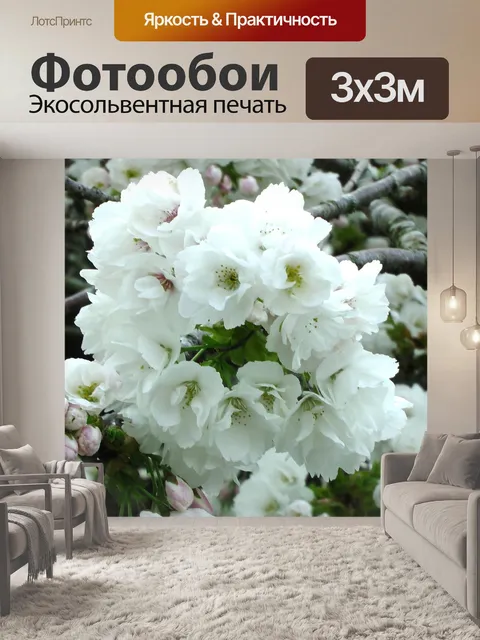 Фотообои Cherry Blossom Цветы
