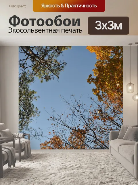 Фотообои Осень