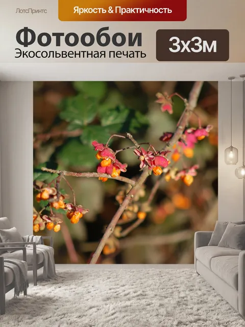 Фотообои Лес