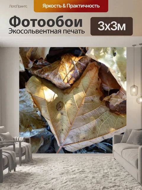 Фотообои Текстура листьев