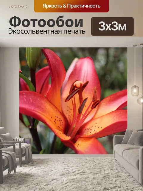 Фотообои Лили
