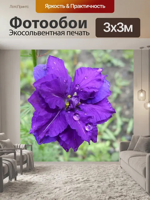 Фотообои Цветы