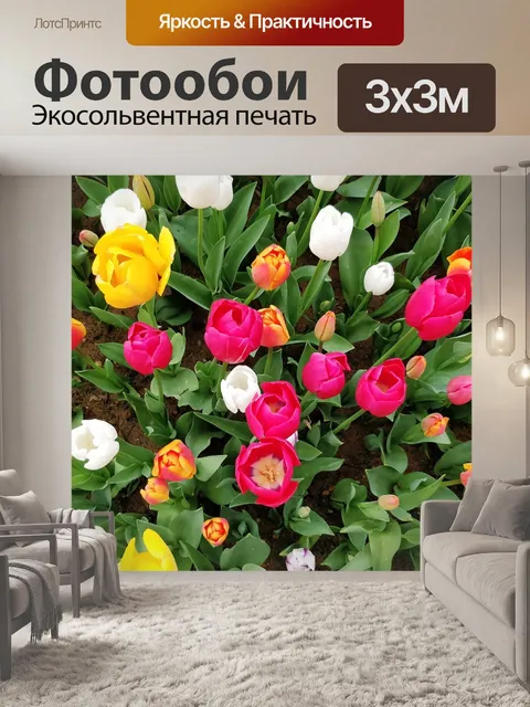Фотообои Цветок