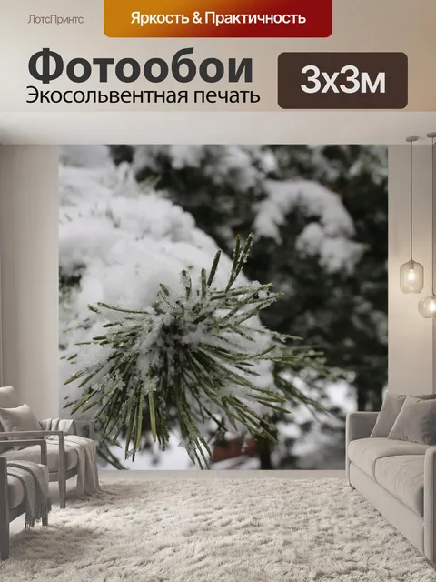 Фотообои Ели