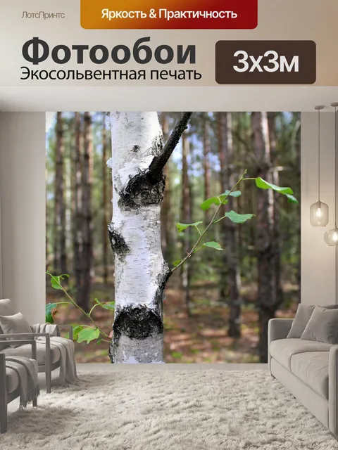 Фотообои Лес