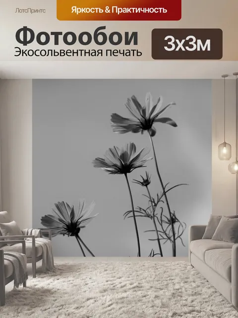 Фотообои Космос цветы на фоне неба, б &amp; W