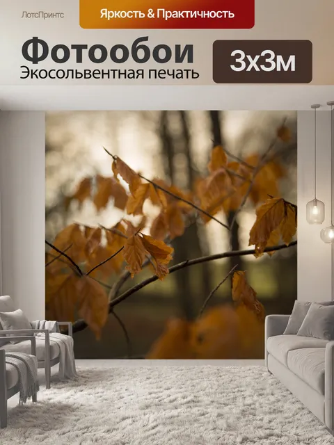 Фотообои Сухие листья