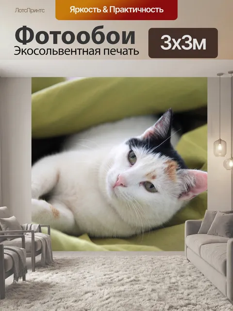 Фотообои Кошка