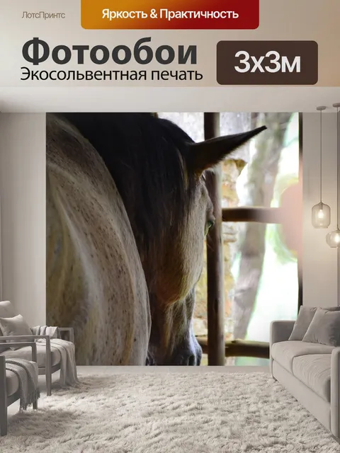 Фотообои Лошадь