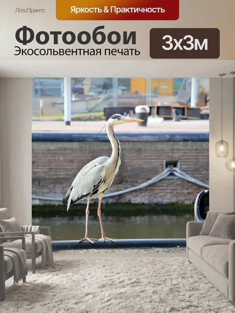 Фотообои Heron в городе