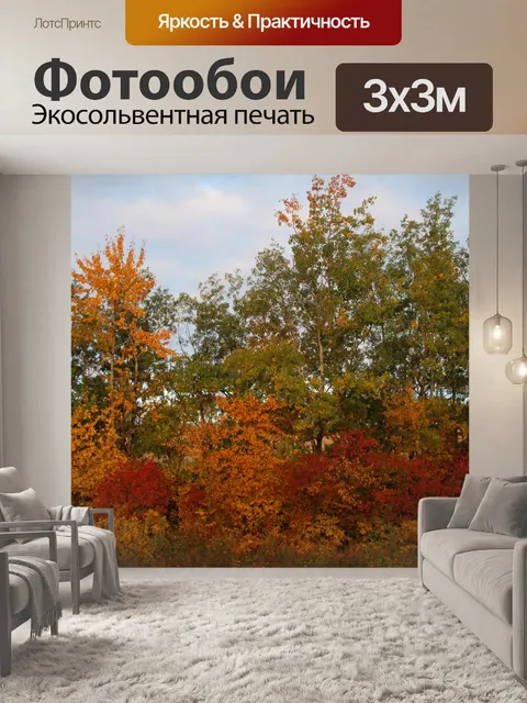 Фотообои Осенние листья