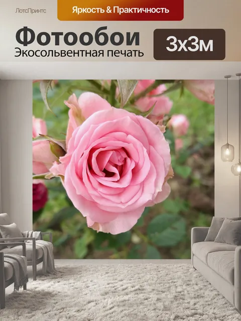 Фотообои Роза