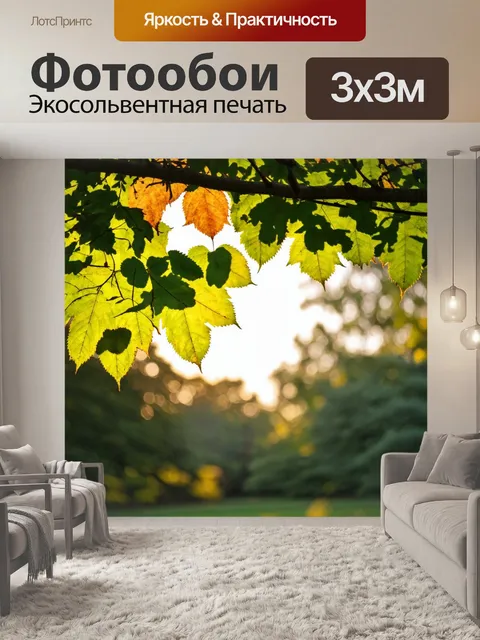 Фотообои градиент солнечных лучей сквозь листья деревьев