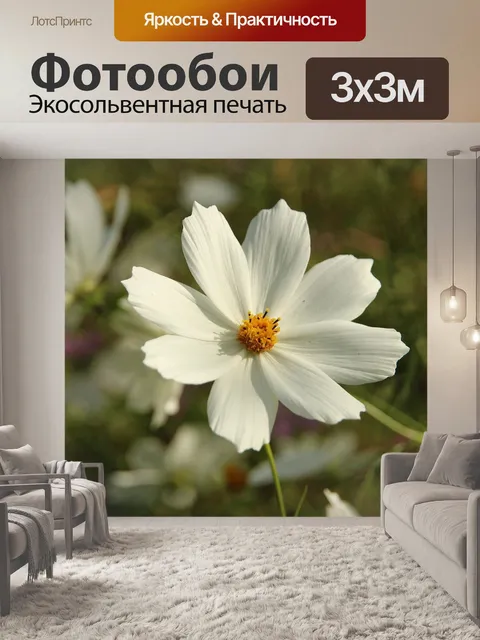 Фотообои Космос