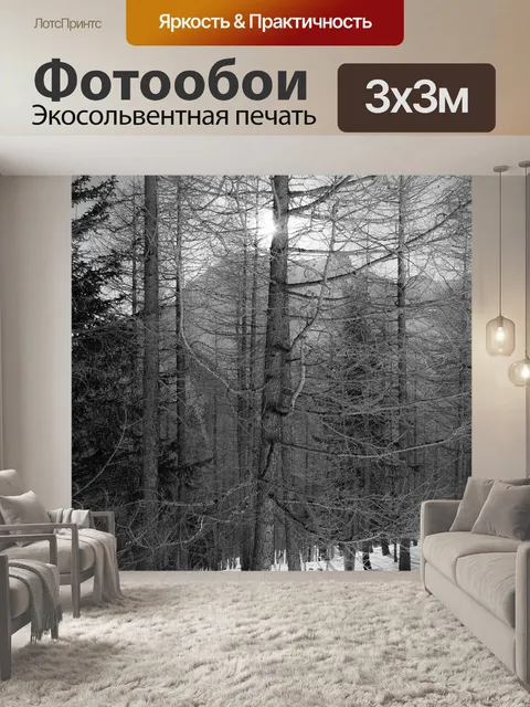 Фотообои Зима