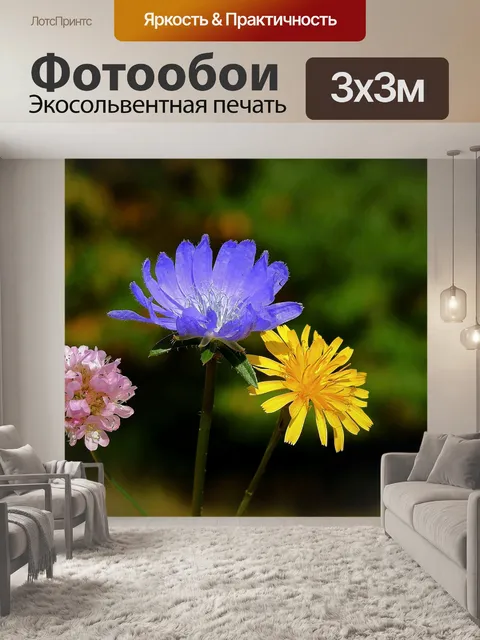 Фотообои Луг