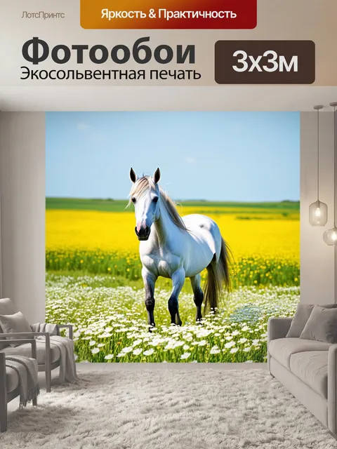 Фотообои единый цветок, окружённый желтыми одним полями, где его белые цветы взлетают к ветру и в небе