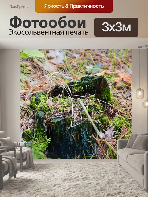 Фотообои Мох