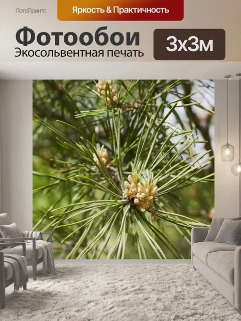 Фотообои Лес