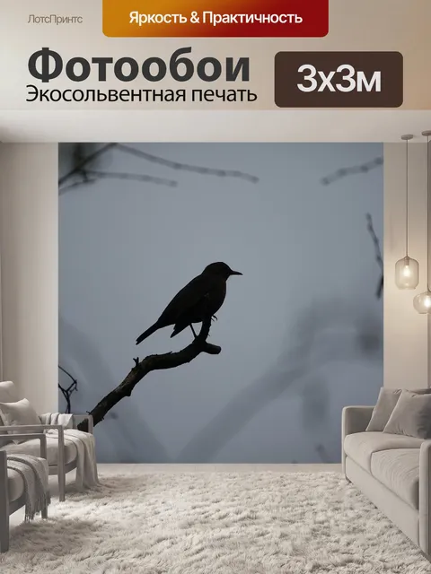 Фотообои Przyroda