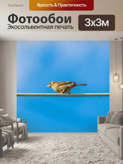 Фотообои Воробей