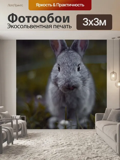 Фотообои Кролик