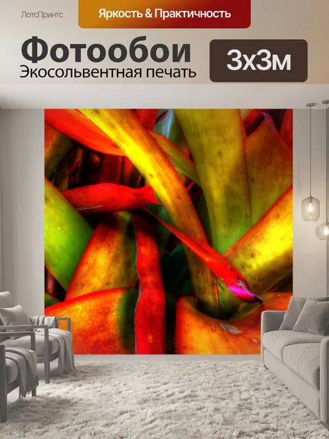 Фотообои Красочный сочный фон