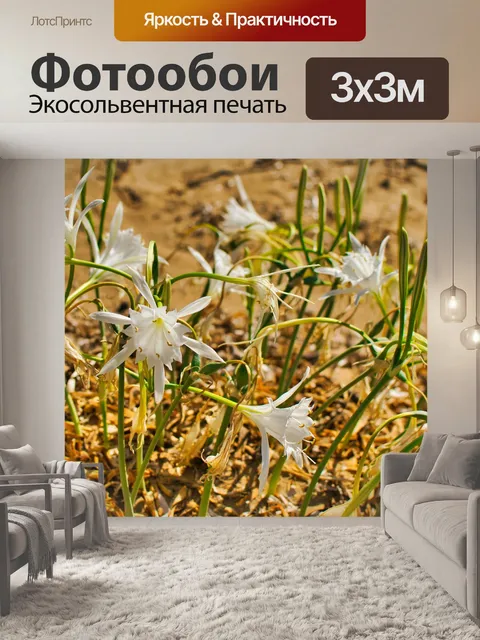 Фотообои Цветок