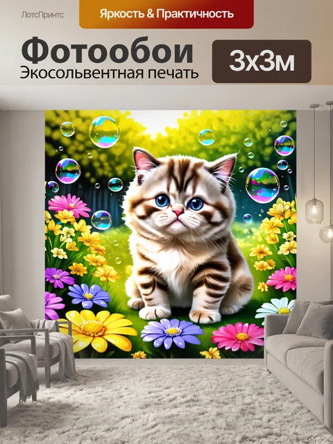 Фотообои шотландская вислоухая