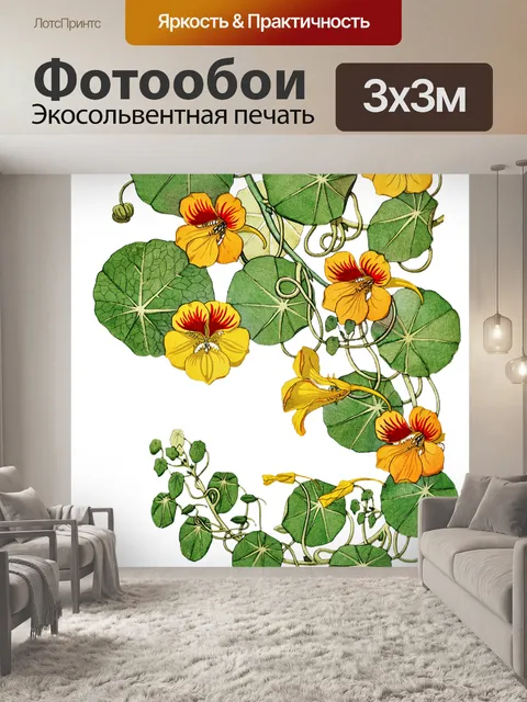 Фотообои Настурция Цветы