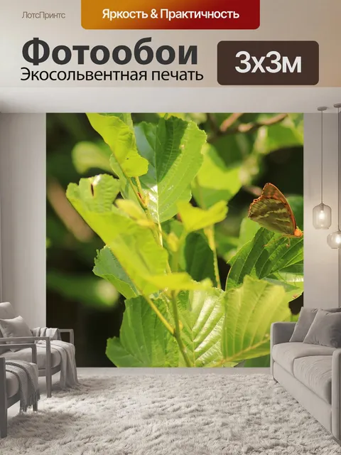 Фотообои Бабочка