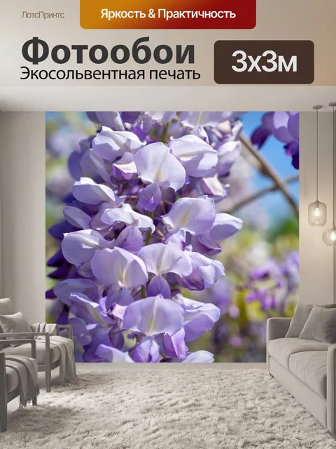 Фотообои Цветы