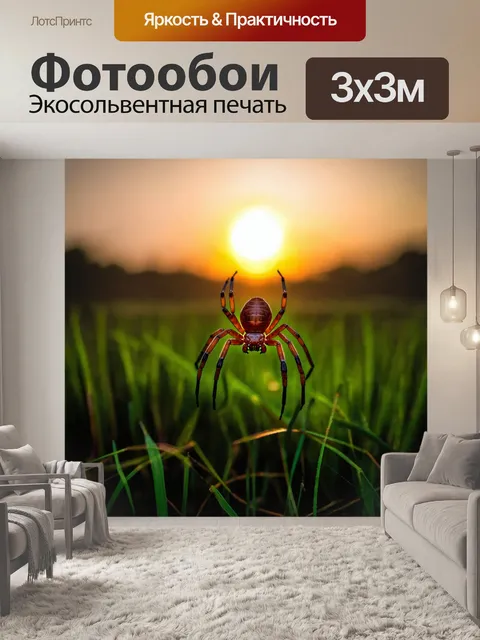 Фотообои закат над болотом с пауком