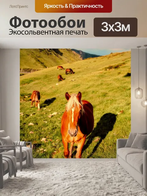 Фотообои Лошади