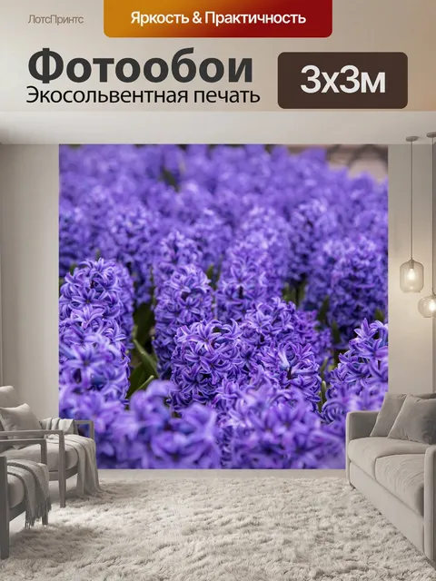 Фотообои гиацинт Цветы