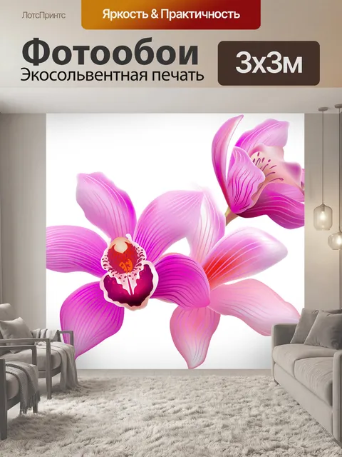 Фотообои Орхидеи