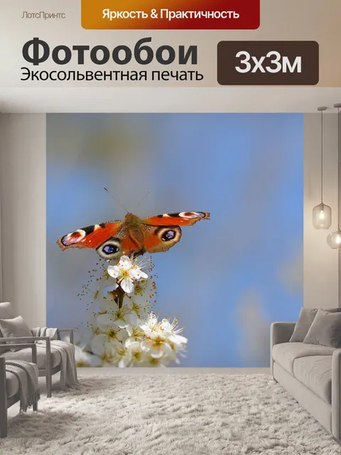 Фотообои Бабочка