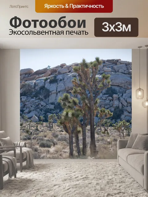 Фотообои Национальный памятник Джошуа Три