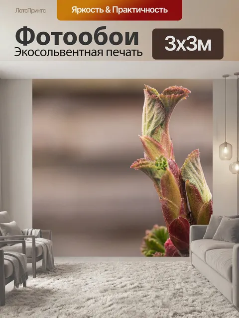 Фотообои Листья
